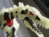 Megaraptor's face up close