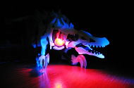 Megaraptor lit by blue LED