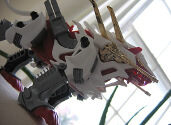 Kingliger from the side, backlit by a window.  The camera is tilted partially to the side.